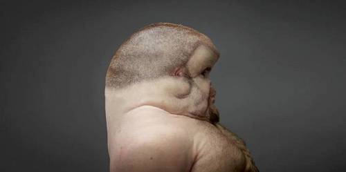 [혐?]자동차 사고를 견딜 수 있게 진화한 인류