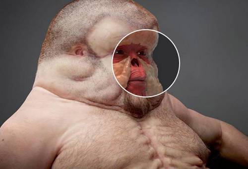 [혐?]자동차 사고를 견딜 수 있게 진화한 인류