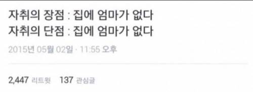 자취의 장단점.twit