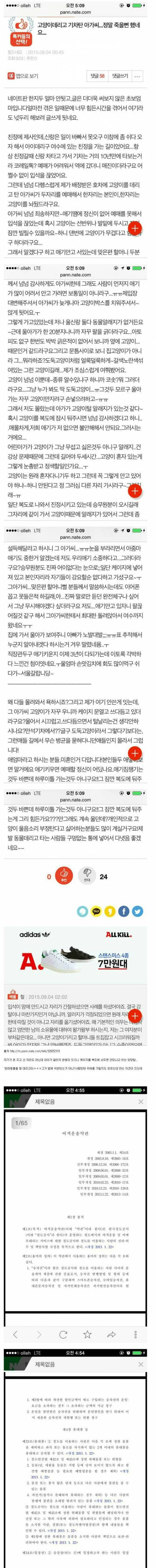 고양이 데리고 기차 탄 아가씨.jpg
