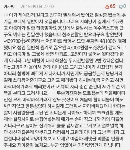 고양이 데리고 기차 탄 아가씨.jpg