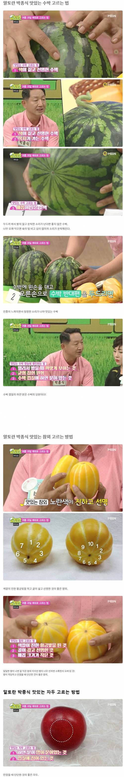 맛있는 수박 참외 자두 고르는 방법