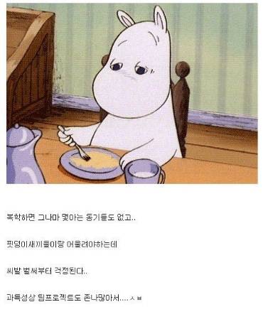 요즘 대학 노땅학번 .jpg