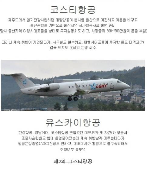 사라진 저가 항공사.jpg