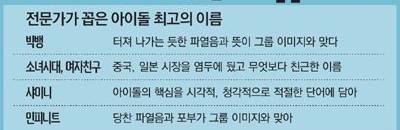 전문가들이 꼽은 최고와 최악의 아이돌 이름