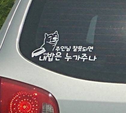 귀여운 초보 운전 스티커