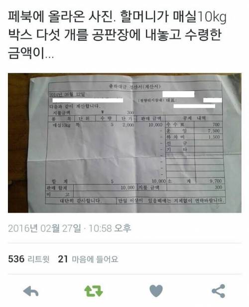할머니와 매실..