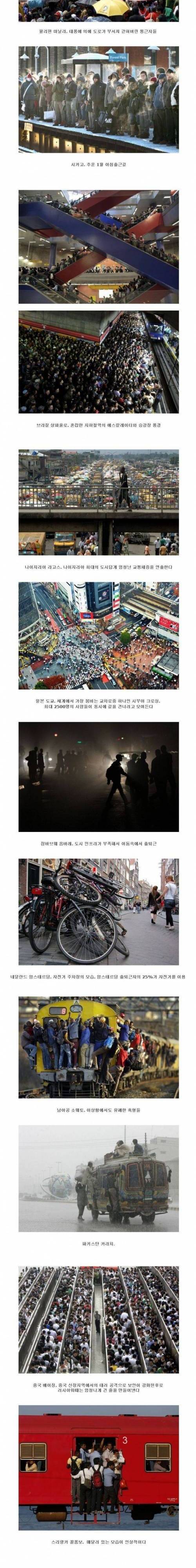 세계 각국의 출근길.jpg