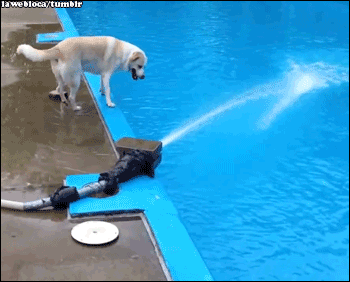 목마르네 물을 좀 마셔야겠...gif