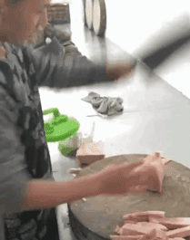 중식도.gif