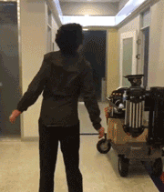 좀비의 생존본능 .gif