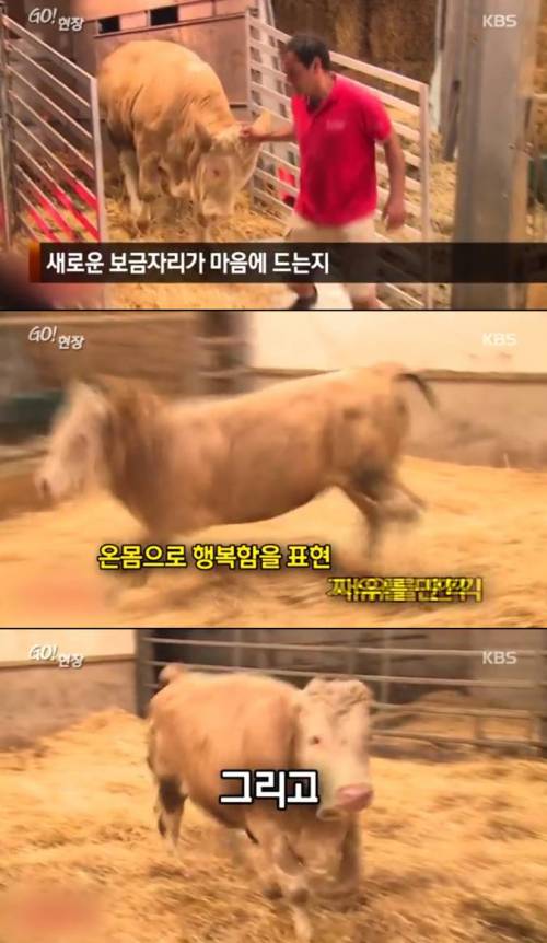 감사할 줄 아는 동물