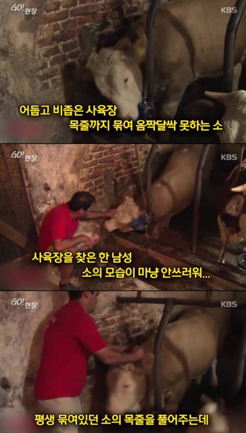 감사할 줄 아는 동물