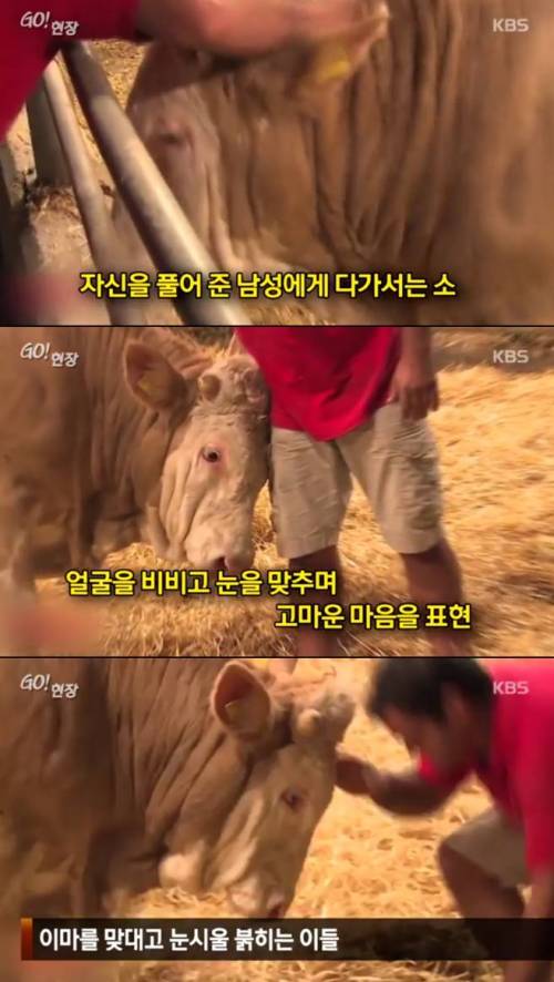 감사할 줄 아는 동물