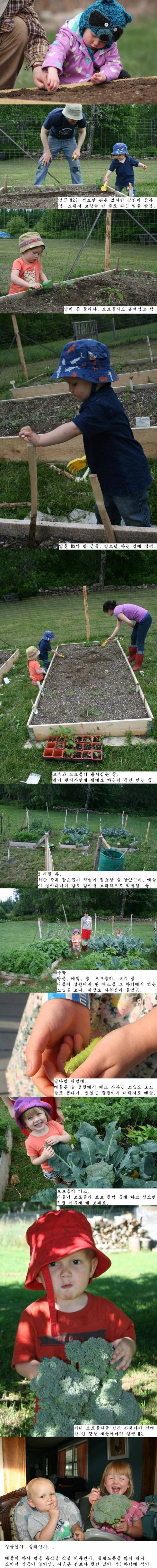 애들 식비 줄이기 대작전..jpg