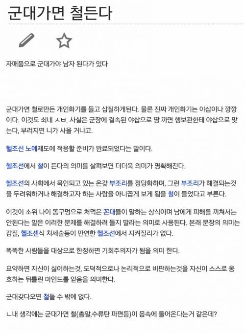 군대가면 철든다에 대한 디씨인의 분석