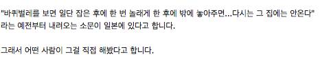 신개념 바퀴벌레 퇴치법.jpg