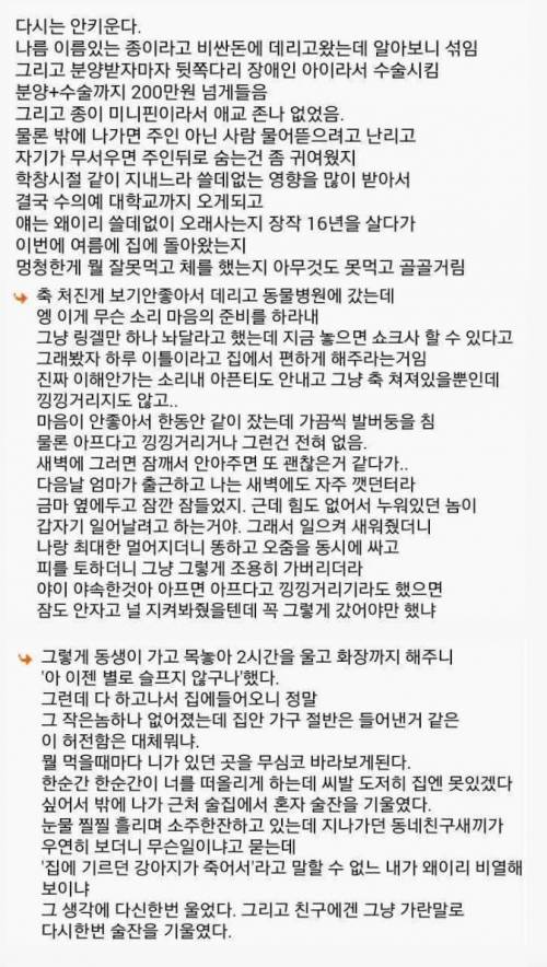 다시는 안키운다.jpg