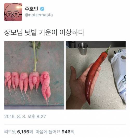 주호민 장모님의 텃밭.jpg