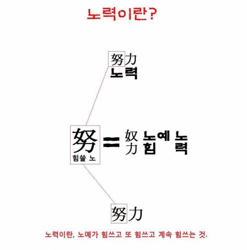 노오오오력의 정체.jpg