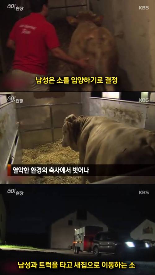 감사할 줄 아는 동물