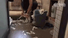 결자해지.gif