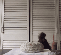 안면 연기 甲.gif