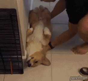 어린시절 거실에서 잘 때 공감류.gif