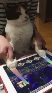 기가 막힌 터치 .gif