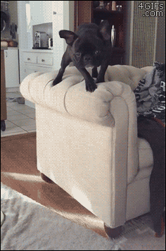 개통사고.gif