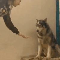 나두! 나두!!.gif