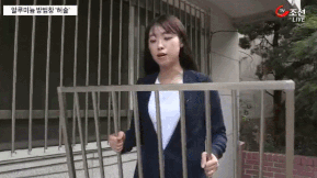 허술한 알루미늄 방법창.gif