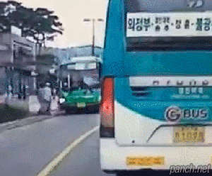 무단횡단 vs 중앙선 침범.gif