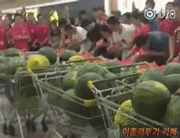 수박 빨리 먹기.gif