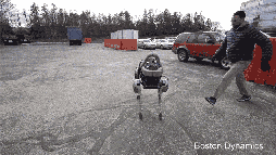 미친 코스프레.gif