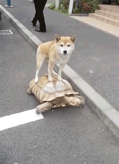 출근 지각할꺼 같아서 택시탔을때 기분.gif