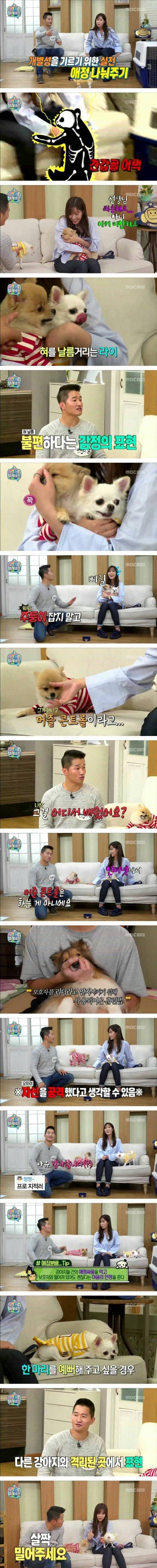 임수향 혼나는 방송.jpg