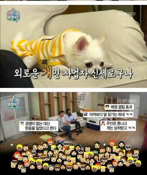 임수향 혼나는 방송.jpg