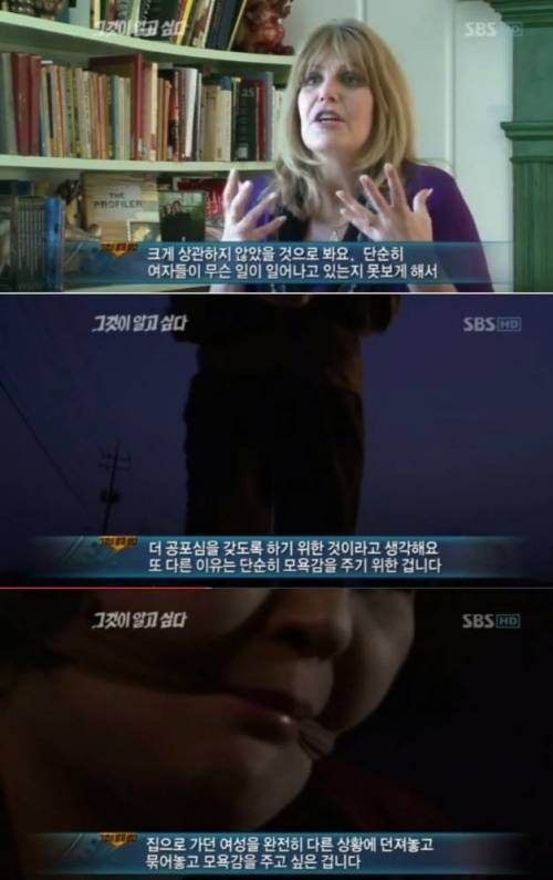 미국 프로파일러들이 추리한 화성 연쇄살인범