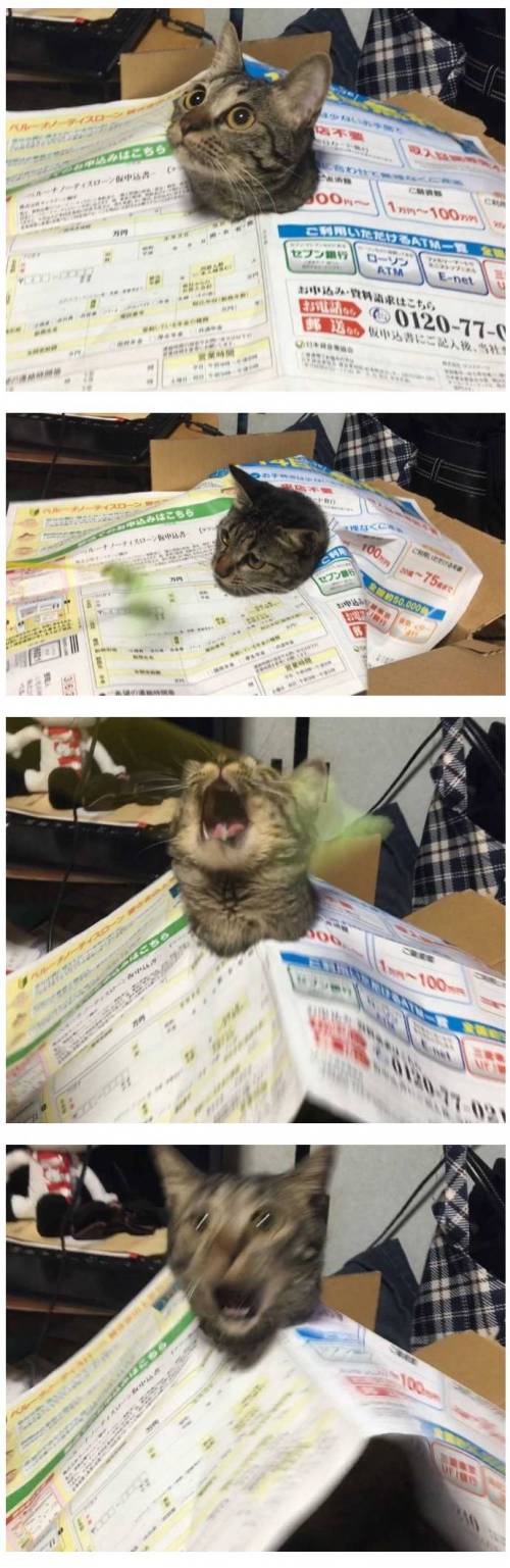 얼굴만 내놓고 만족해 하다가 .jpg