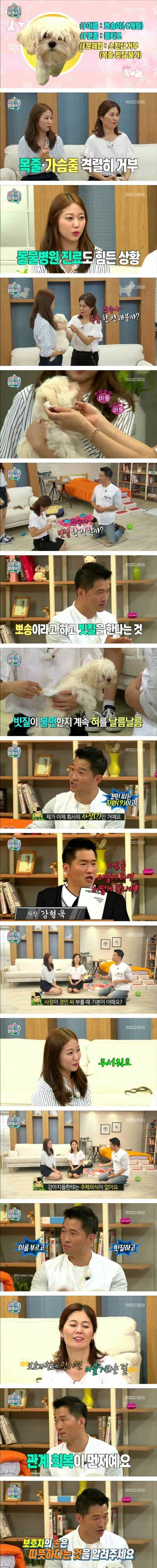 헌터강의 반려견 문제상담.jpg