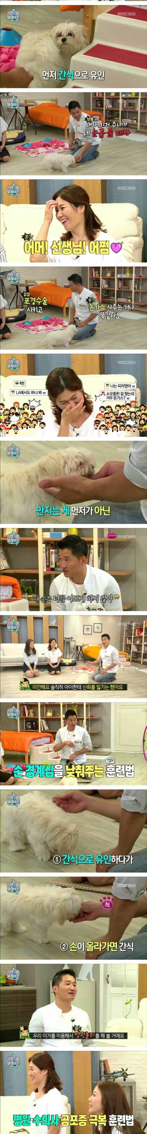 헌터강의 반려견 문제상담.jpg