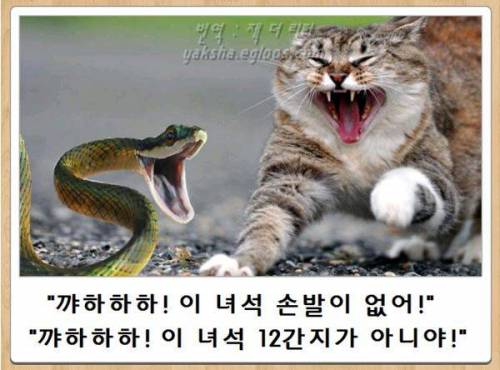 제목학원 모음.jpg