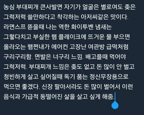 농심 부대찌개 큰사발면 후기