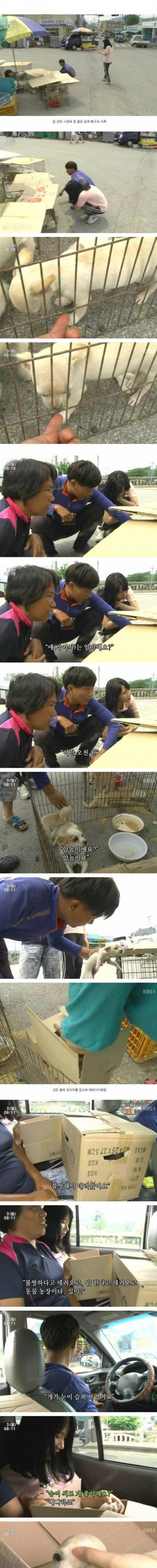시장에서 산 멍멍이.jpg