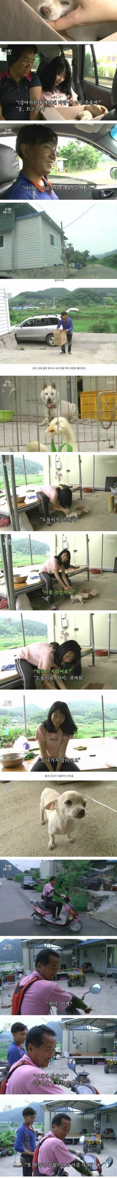 시장에서 산 멍멍이.jpg