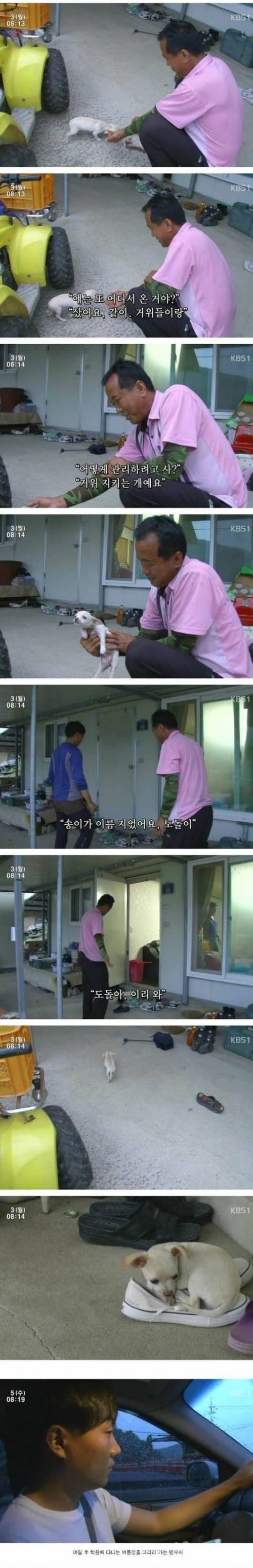 시장에서 산 멍멍이.jpg