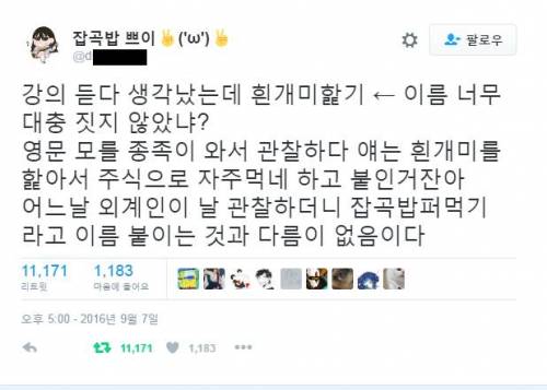 외계인이 종 이름을 인간처럼 대충 지었다면.twt