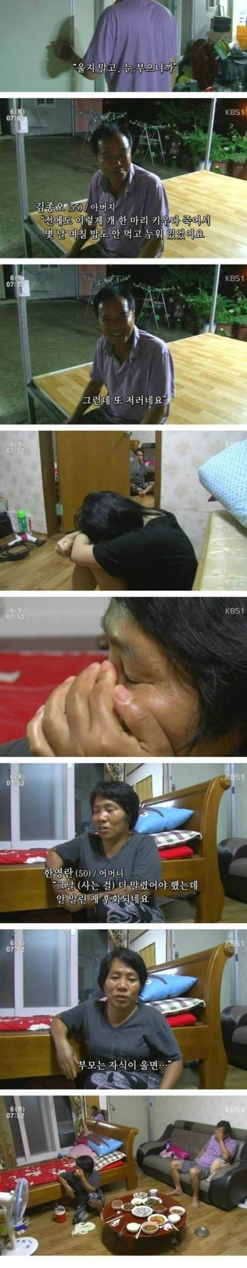 시장에서 산 멍멍이.jpg