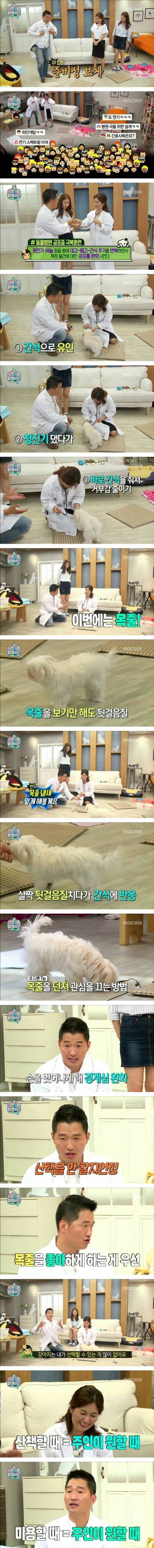 헌터강의 반려견 문제상담.jpg